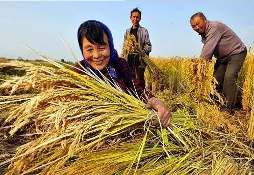 重磅！繼包產(chǎn)到戶之后，我國(guó)農(nóng)村又一次迎來(lái)重大改革