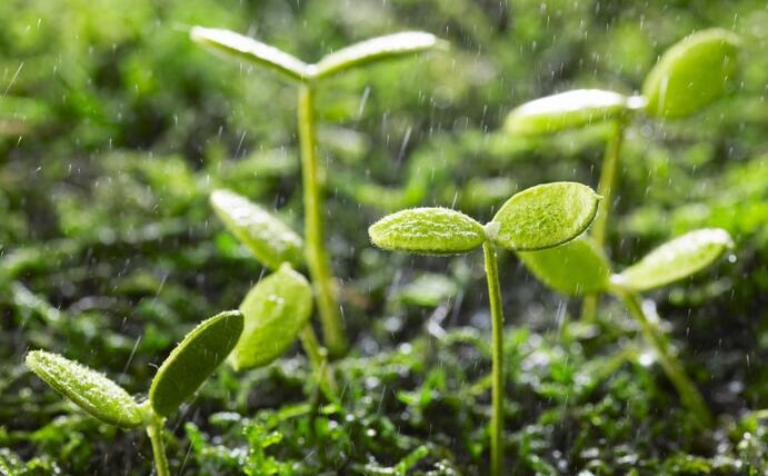 動態(tài) | 生物刺激劑多重效果大揭秘，可減少百萬噸氮肥的投入！